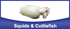 Squids, Cuttlefish and Sea Cucumber