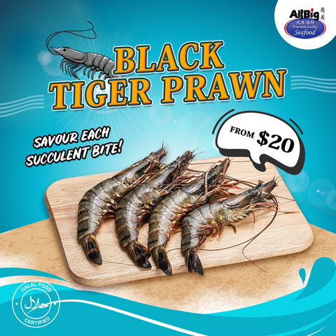 Black Tiger Prawn (1KG)