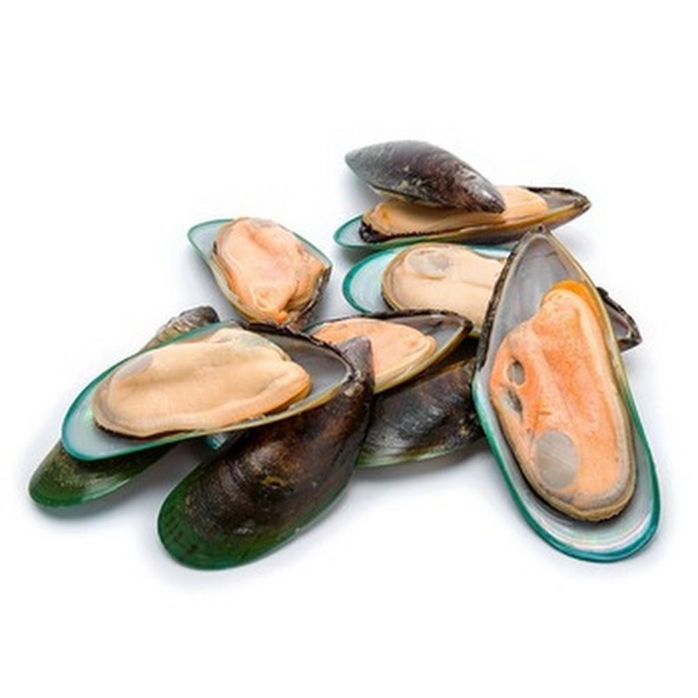 Half Shell Green Mussel (1KG) - All Big Frozen Food Pte Ltd