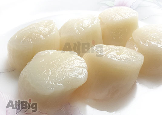 Premium Jumbo Canada Scallop (500G) - All Big Frozen Food Pte Ltd
