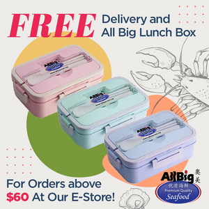 FREE Delivery and All Big Lunch Box Promotion!