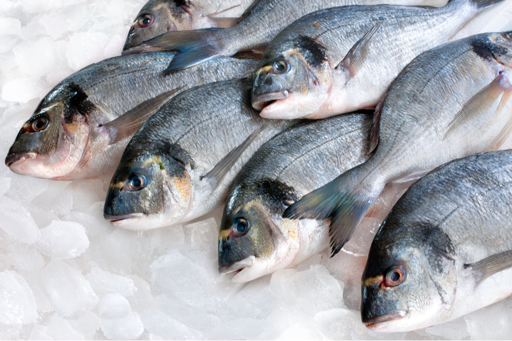 7 Myths About Frozen Seafood Products That You Should Stop Believing!