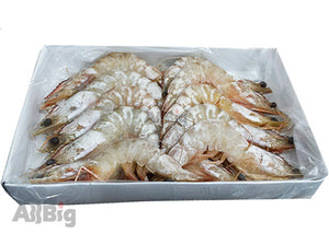 Ang Kar (Red Leg) Prawn (1KG) - All Big Frozen Food Pte Ltd