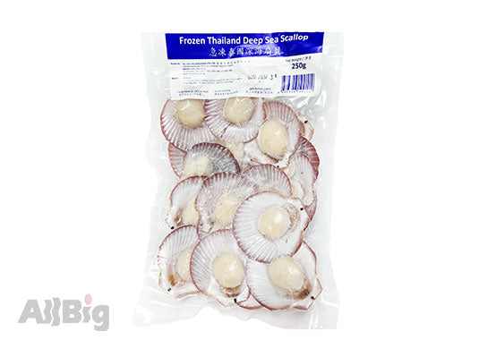 Thailand Deep Sea Scallop (250G) - All Big Frozen Food Pte Ltd