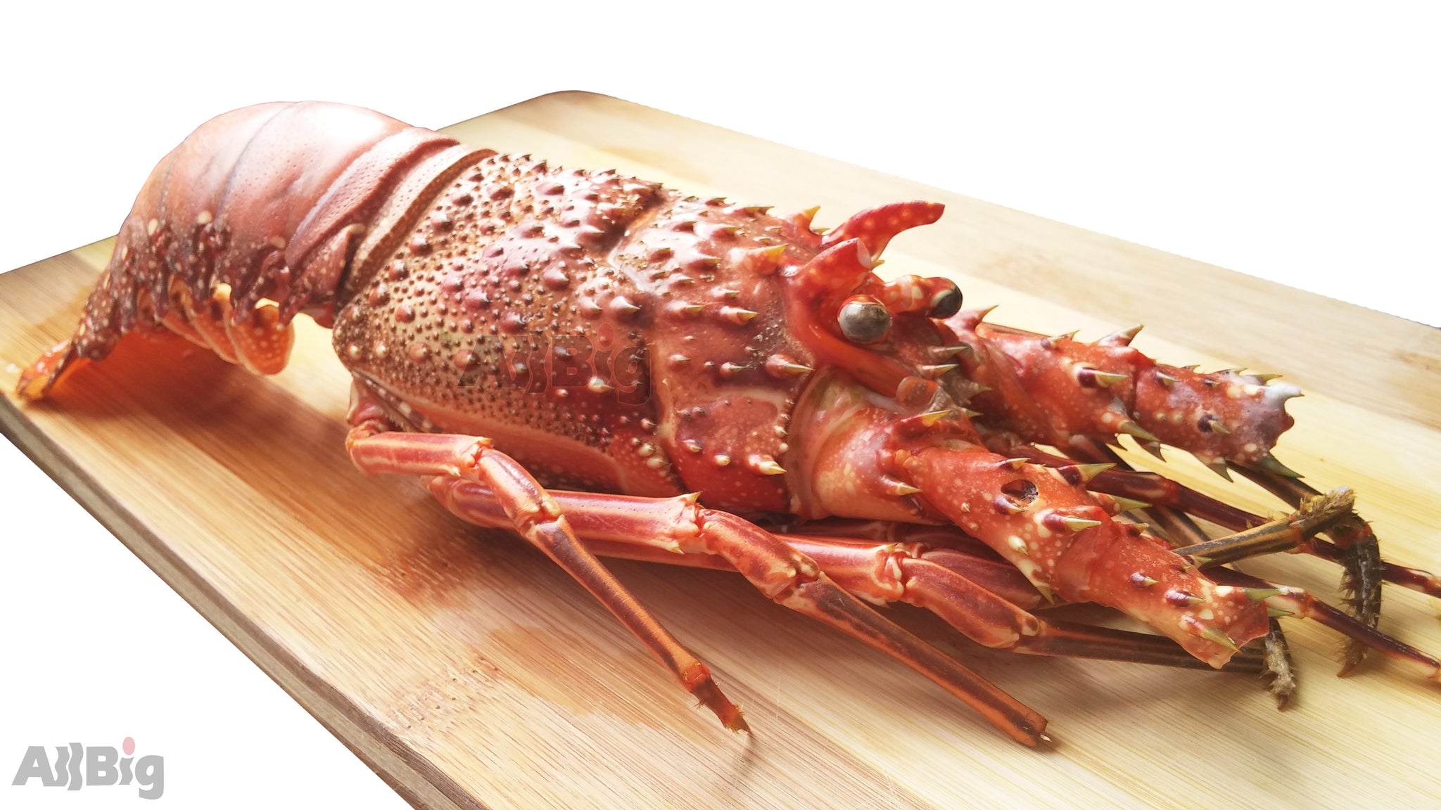 Premium Lobster Whole (300G-400G) - All Big Frozen Food Pte Ltd