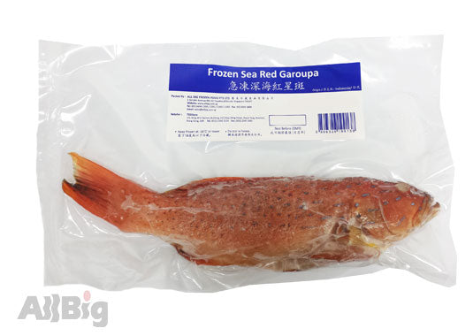 Red Garoupa Whole Cleaned (800G-1KG) - All Big Frozen Food Pte Ltd